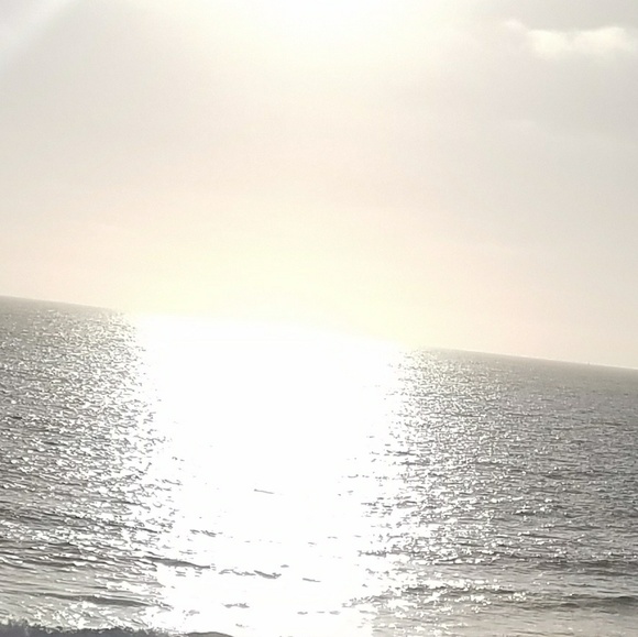 Meet your Posher, Paola - Picture 1 of 1